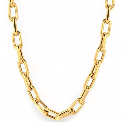 Jaya Bisht Signature Cuban Waterproof Chain