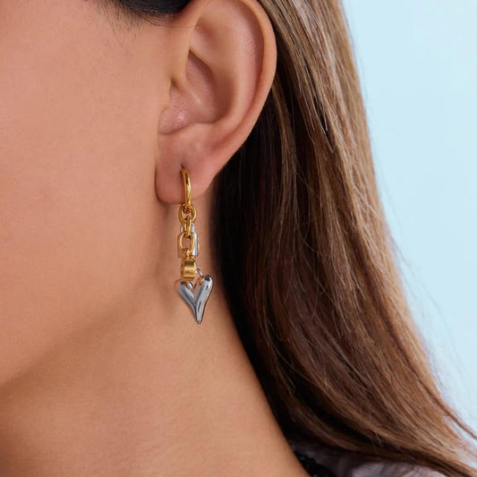 Mixed Metals Heart Charms Earrings